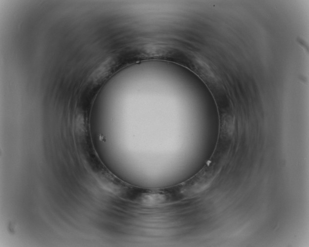 X0000098210220200804241328