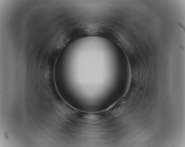 X0000098210221200804241328