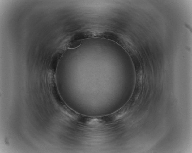 X0000098210222200804241328