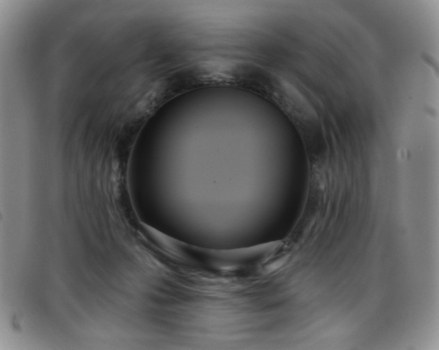 X0000098210223200804241328