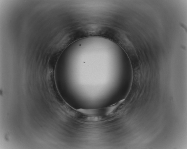 X0000098210225200804241328
