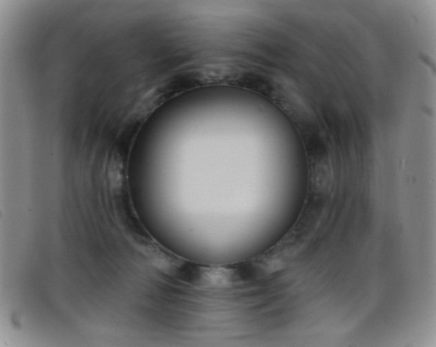 X0000098210226200804241328