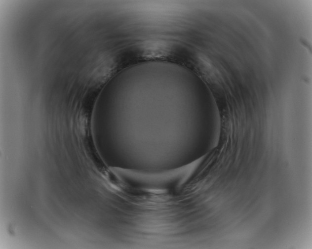 X0000098210227200804241328