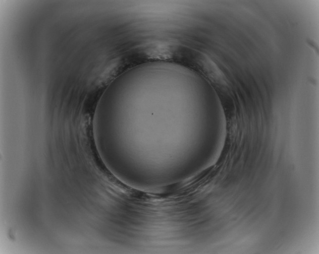 X0000098210229200804241328