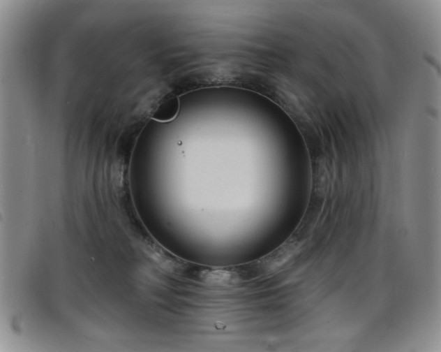 X0000098210230200804241328
