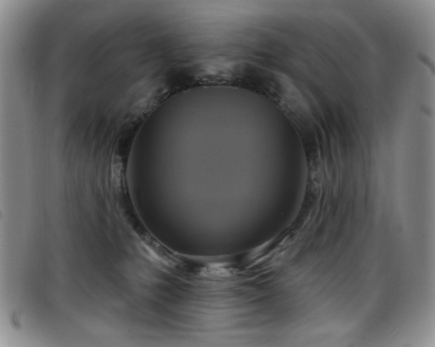 X0000098210231200804241328