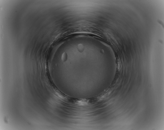 X0000098210232200804241328