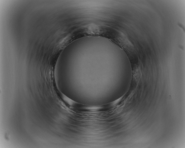X0000098210233200804241328
