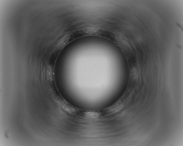 X0000098210234200804241328