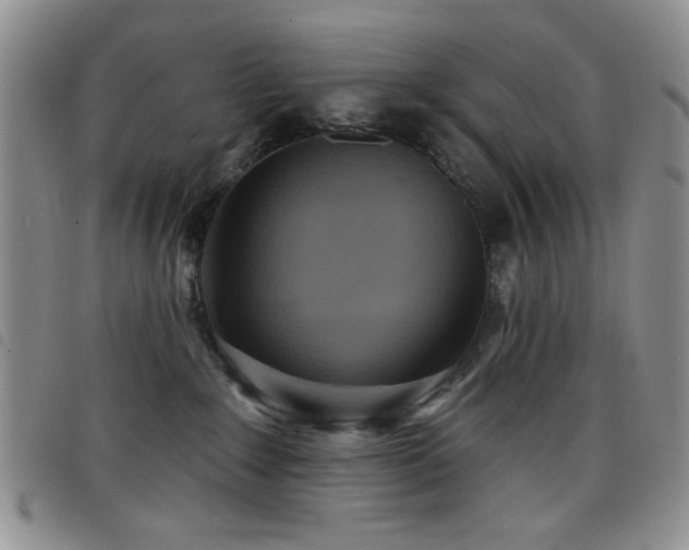 X0000098210235200804241328
