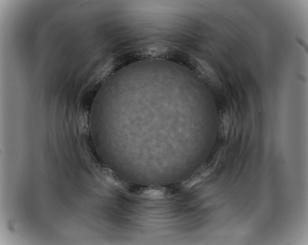 X0000098210236200804241328