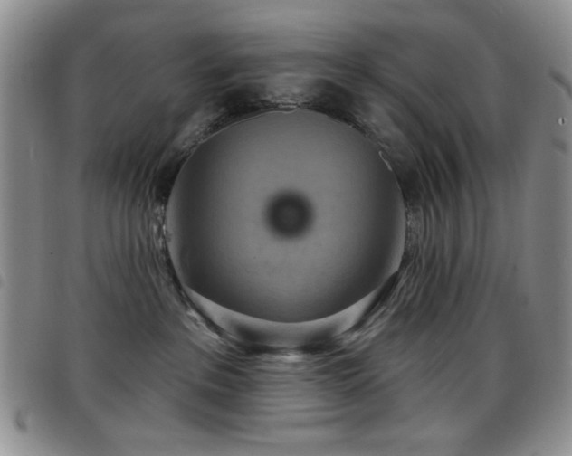 X0000098210237200804241328