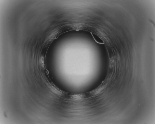 X0000098210238200804241328