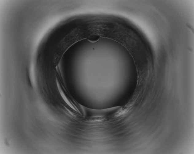 X0000098210239200804241328