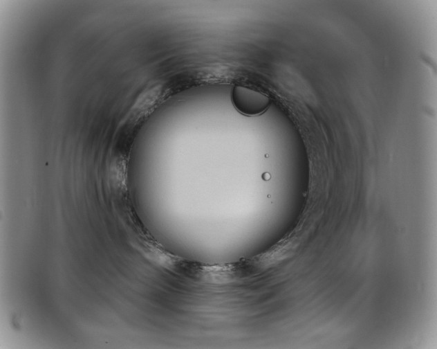 X0000098210240200804241328
