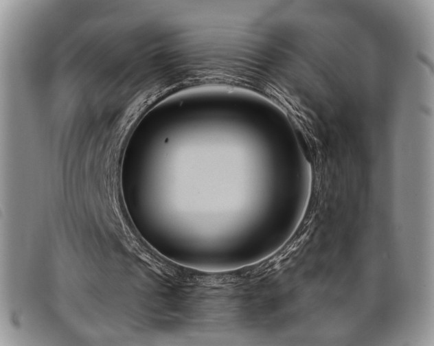X0000098210241200804241327