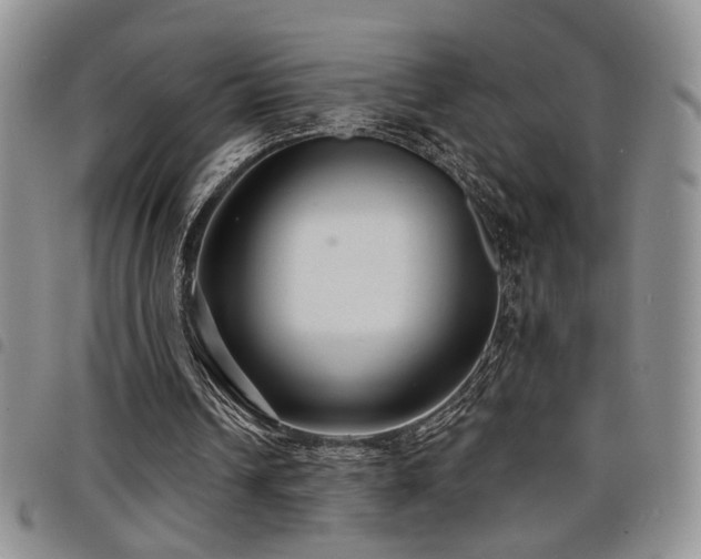 X0000098210242200804241327