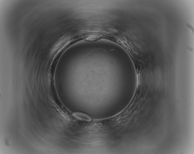 X0000098210243200804241327