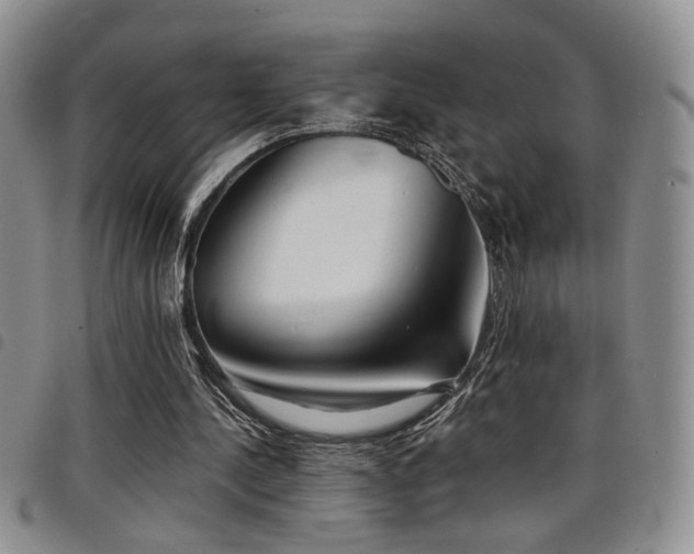 X0000098210244200804241327