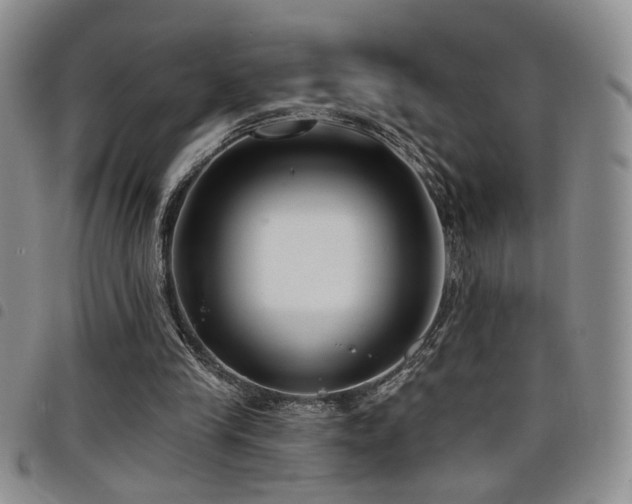 X0000098210245200804241327