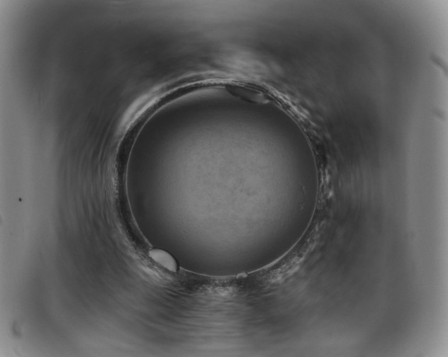 X0000098210247200804241327