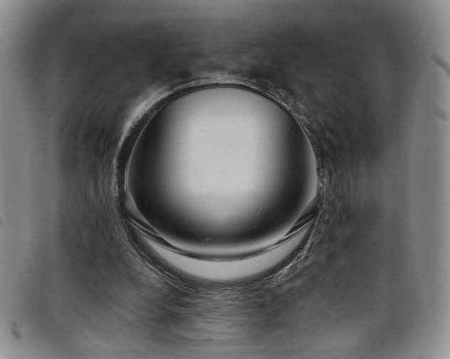 X0000098210248200804241327