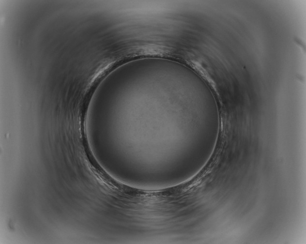 X0000098210249200804241327