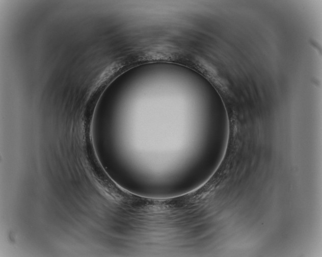 X0000098210250200804241327