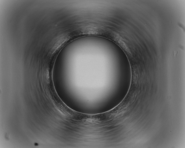 X0000098210251200804241327