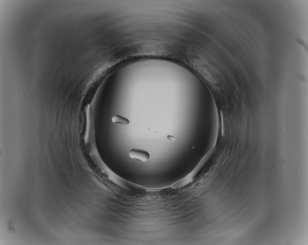 X0000098210252200804241327