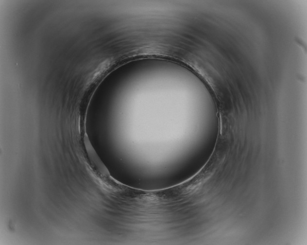 X0000098210253200804241327