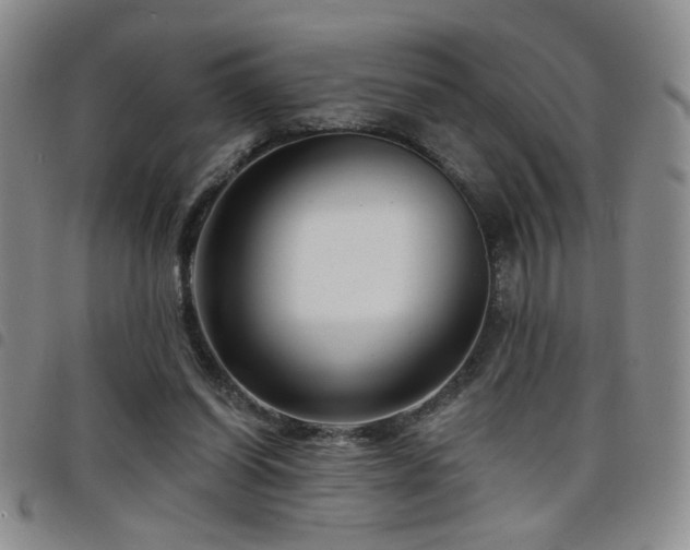 X0000098210254200804241327