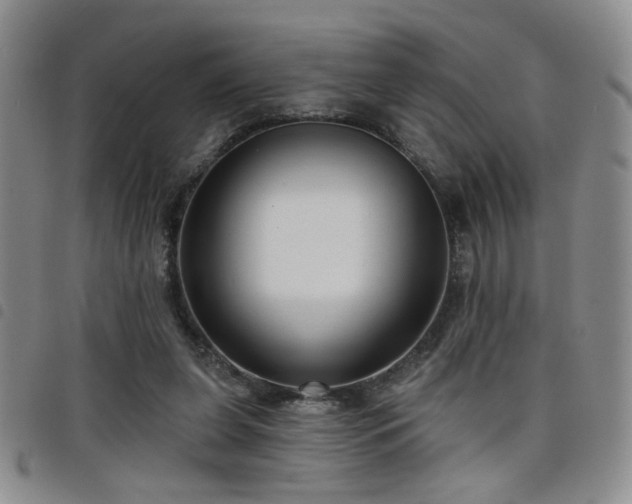 X0000098210255200804241328