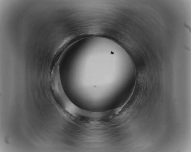 X0000098210256200804241328