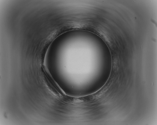 X0000098210257200804241328
