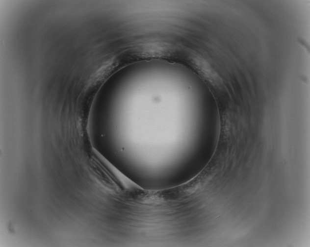 X0000098210258200804241328