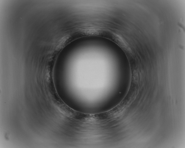 X0000098210259200804241328