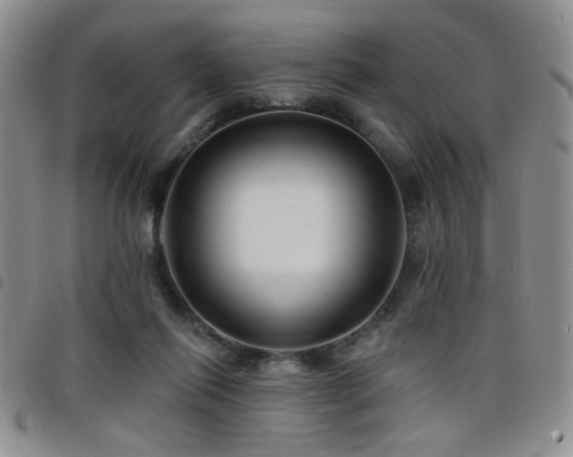 X0000098210262200804241328