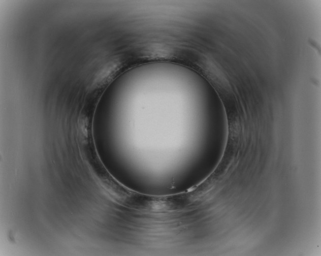 X0000098210264200804241328
