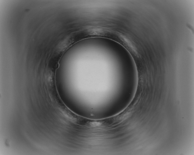X0000098210265200804241328