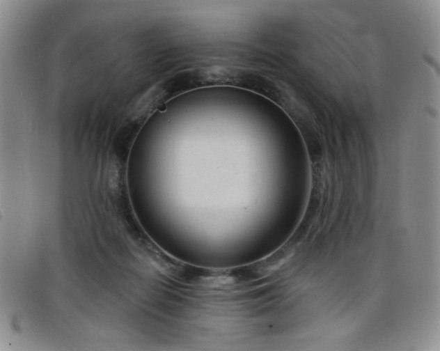 X0000098210266200804241328