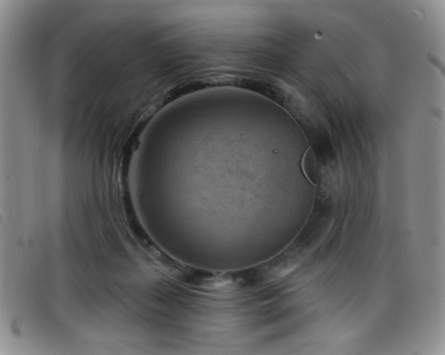 X0000098210267200804241328