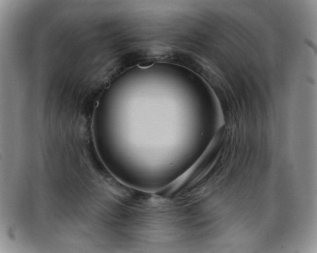 X0000098210270200804241328