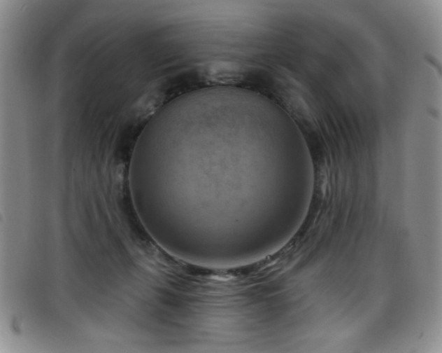 X0000098210271200804241328
