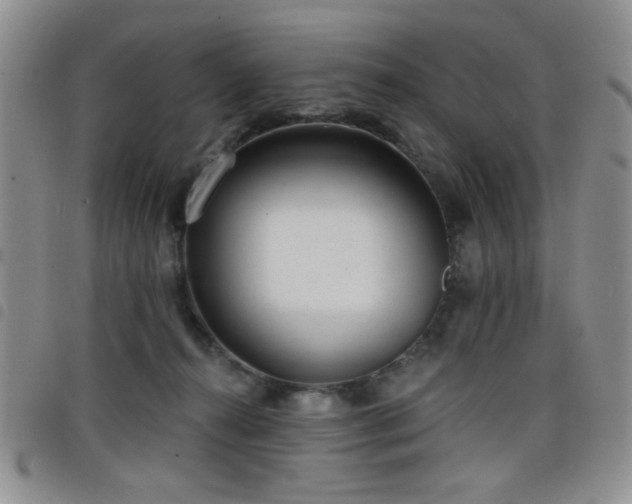 X0000098210272200804241328