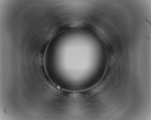 X0000098210273200804241328