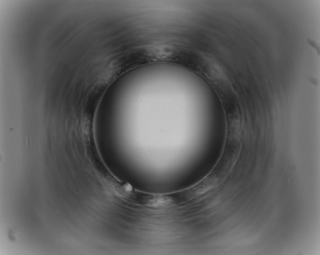 X0000098210274200804241328