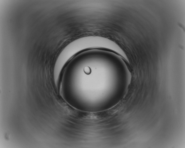 X0000098210276200804241328