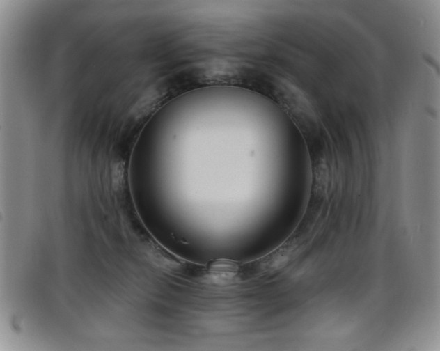 X0000098210278200804241328