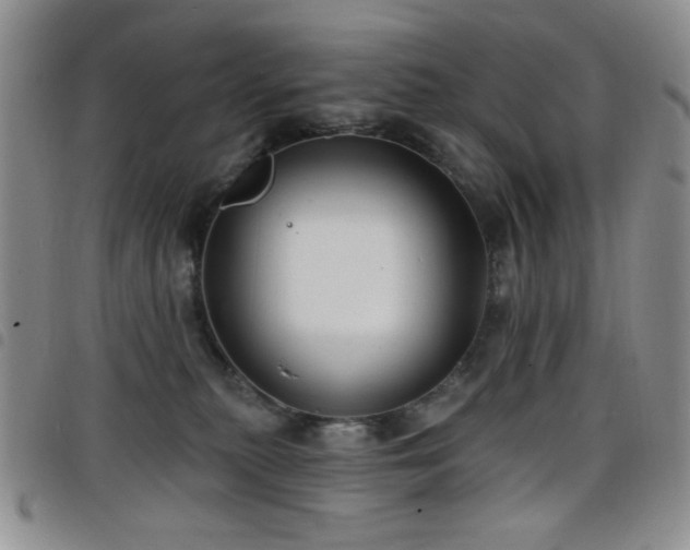 X0000098210279200804241328
